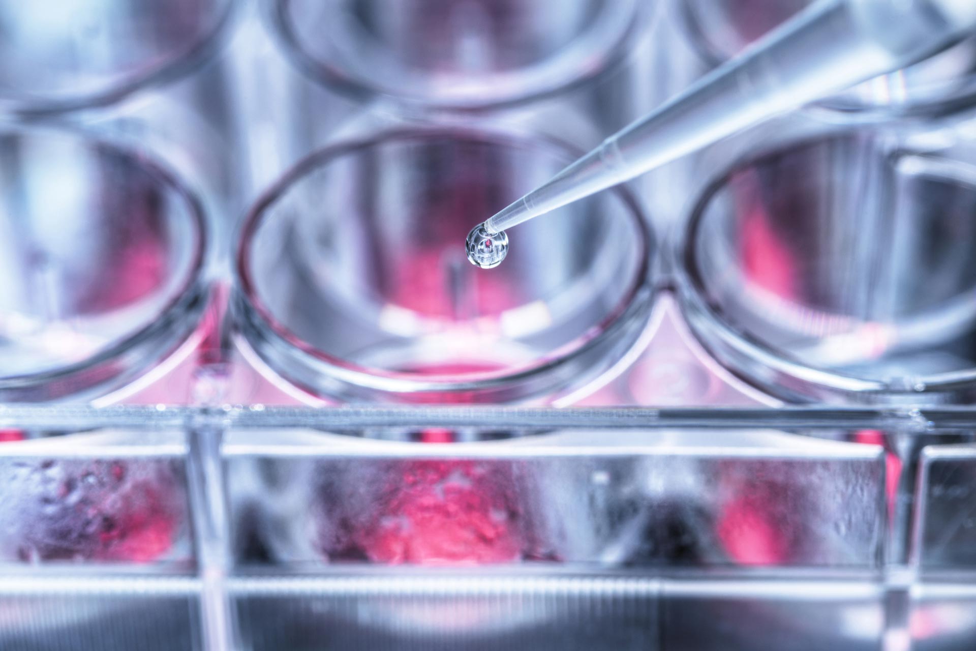 Scientist pipetting sample into a multiwell plate in lab stock photo